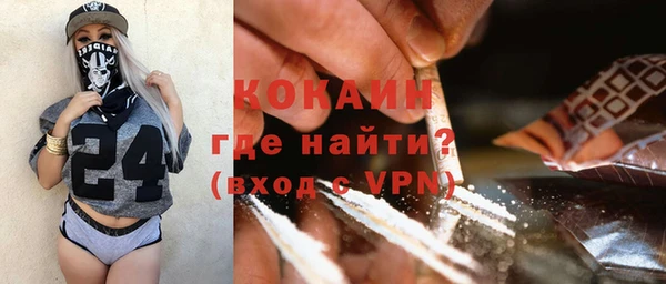 прущие грибы Верея