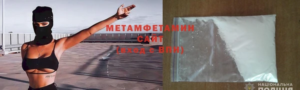 прущие грибы Верея