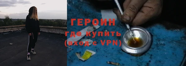прущие грибы Верея