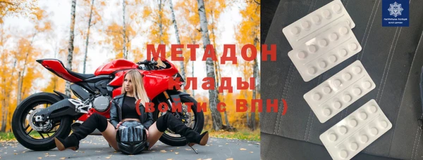 прущие грибы Верея