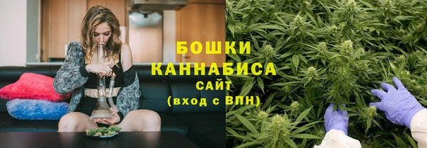 прущие грибы Верея