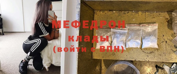 прущие грибы Верея